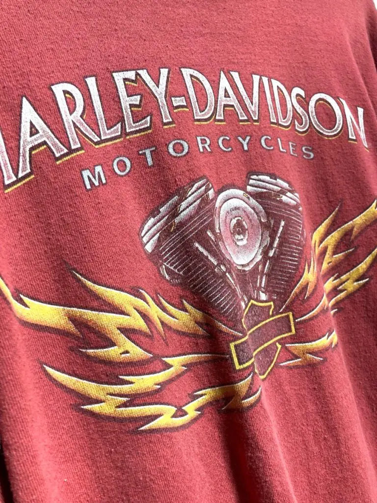 Harley Davidson ハーレーダビッドソン 90s 長袖Tシャツ